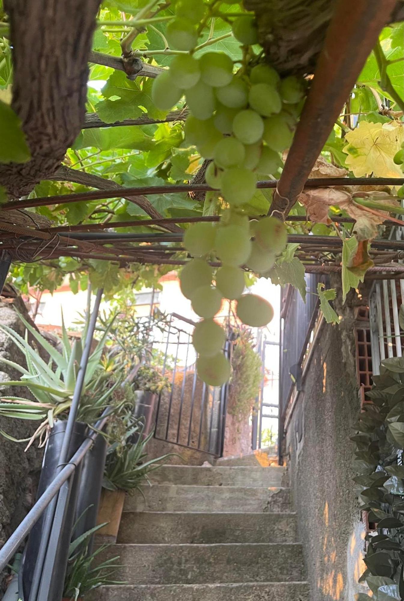 The Secret Garden Villa Forza dʼAgro Eksteriør bilde